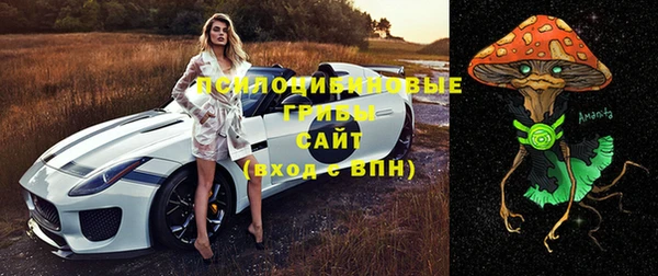 спайс Осинники